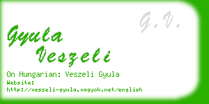 gyula veszeli business card